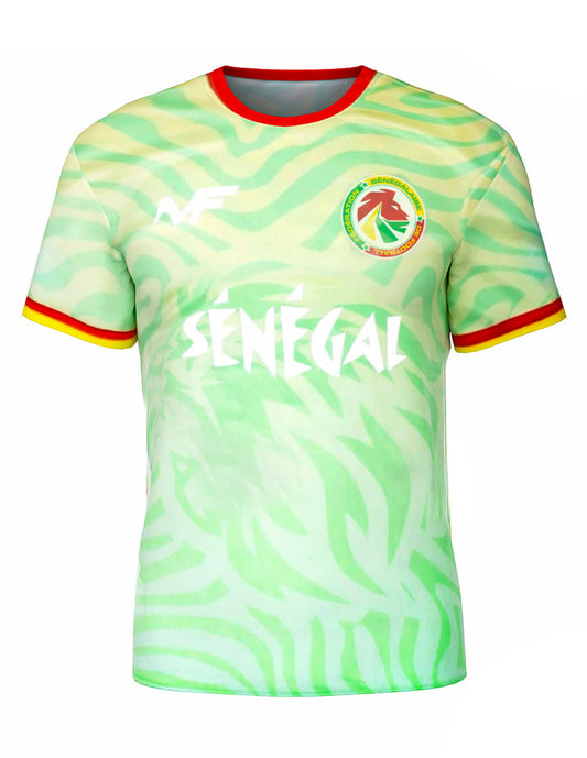 Maillot Sénégal Concept 🇸🇳